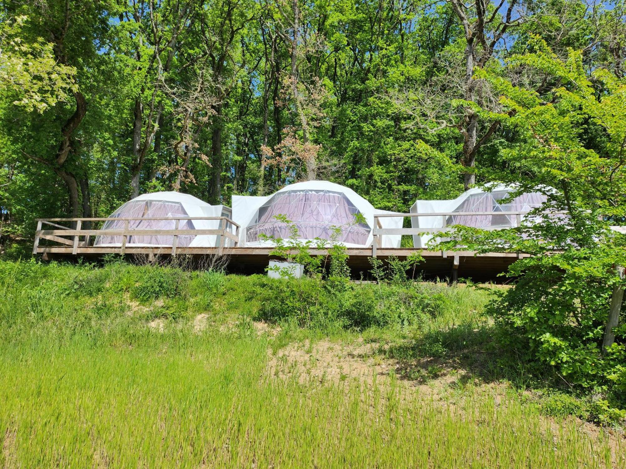 Domaine De Massoulac Molieres  Екстер'єр фото