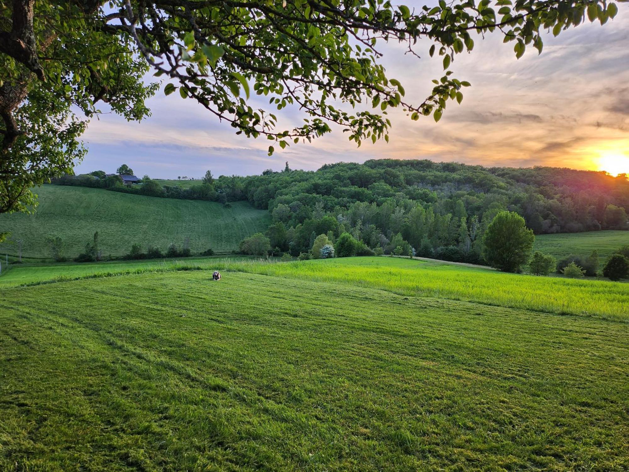 Domaine De Massoulac Molieres  Екстер'єр фото